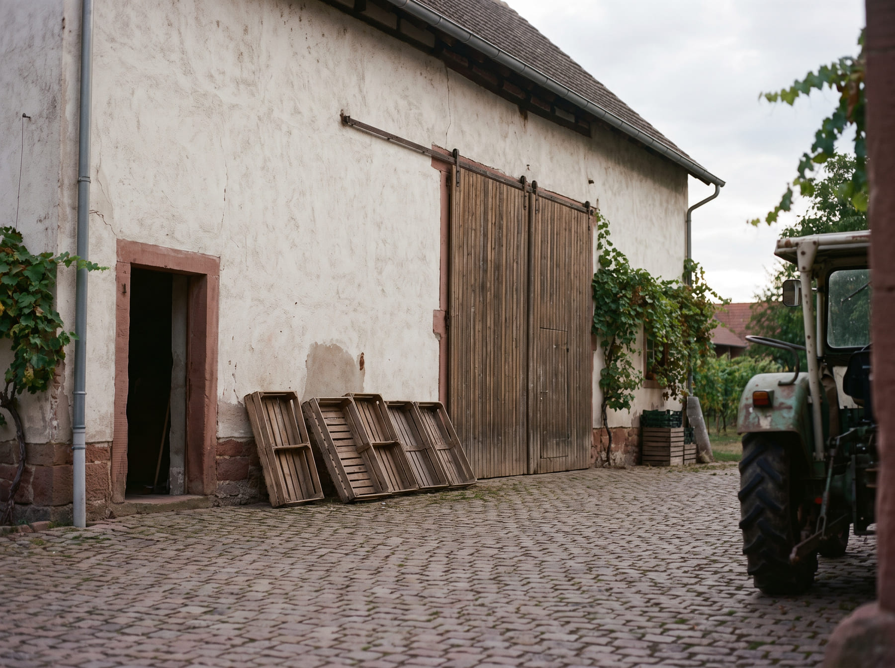Die Einfahrt des Weinguts: verputztes Wirtschaftsgebäude mit Holztor